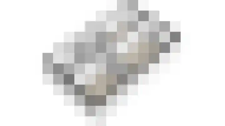 De Pelslap 30 Horst thumbnail 37
