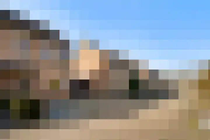 De Pelslap 30 Horst thumbnail 7