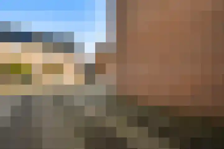 De Pelslap 30 Horst thumbnail 9
