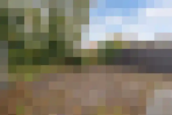 De Peppel 5 Nij Beets thumbnail 17