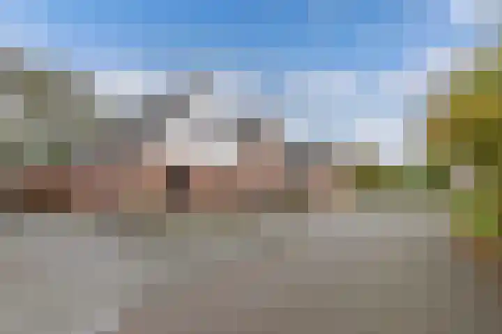 De Peppel 5 Nij Beets thumbnail 4