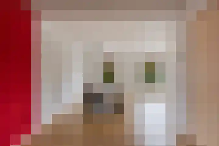 De Peppel 5 Nij Beets thumbnail 9