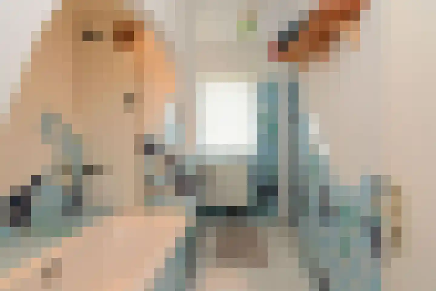 De Peppelaar 16 Delden thumbnail 17
