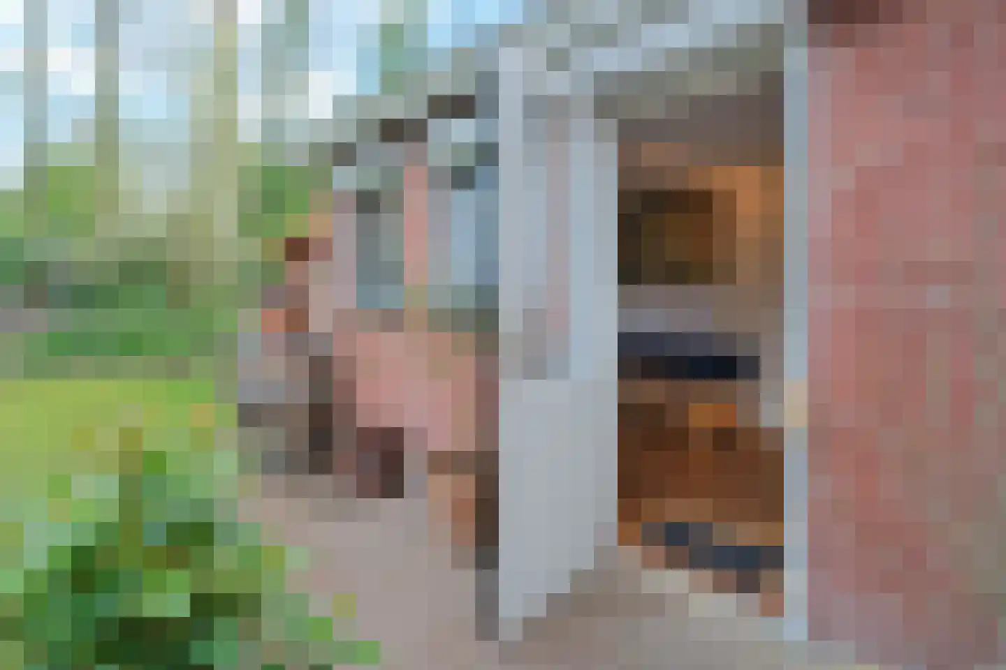 De Peppelaar 16 Delden thumbnail 22