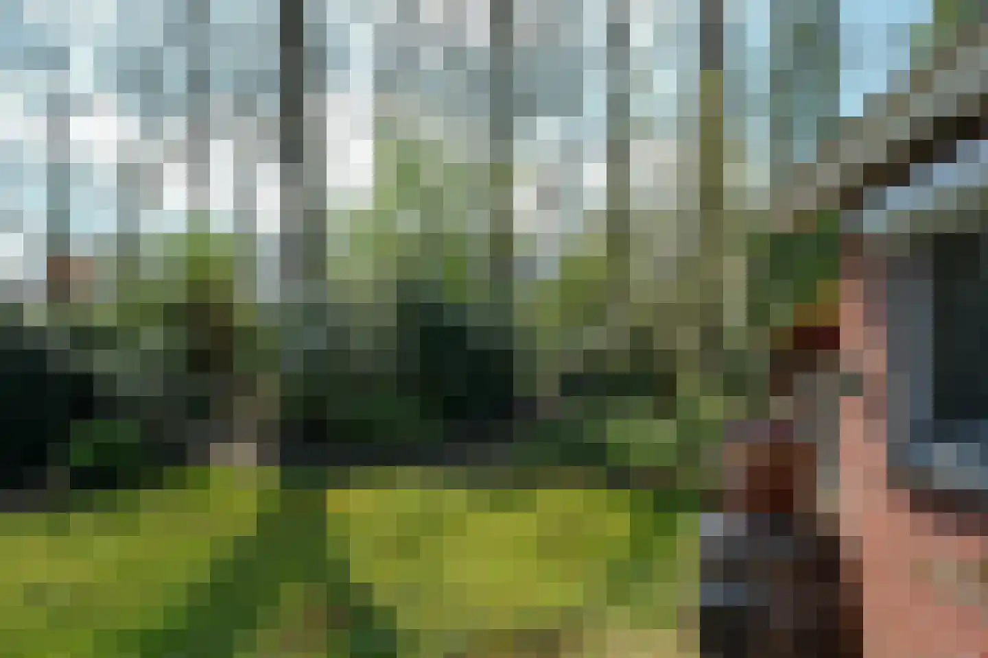 De Peppelaar 16 Delden thumbnail 27