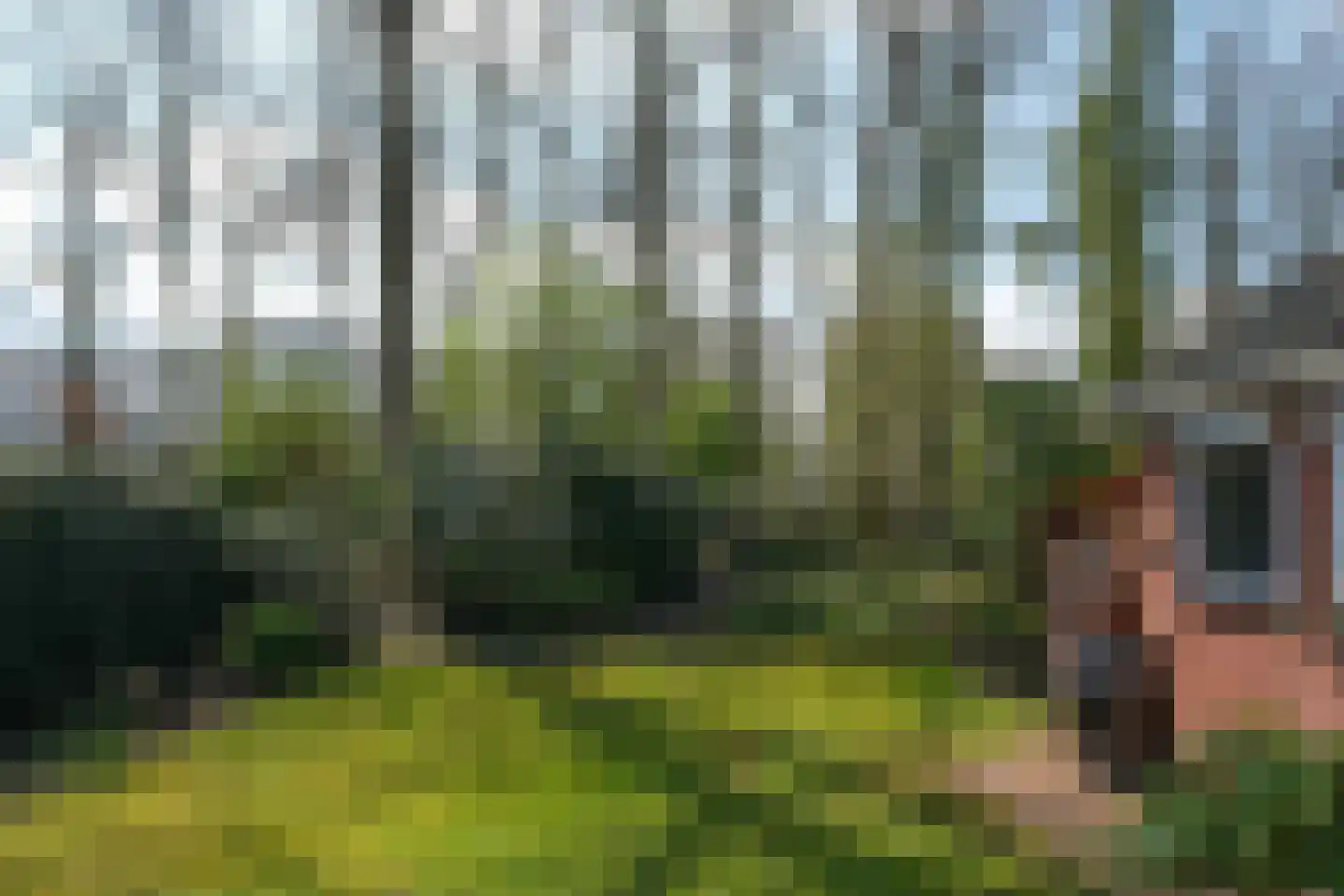 De Peppelaar 16 Delden thumbnail 28