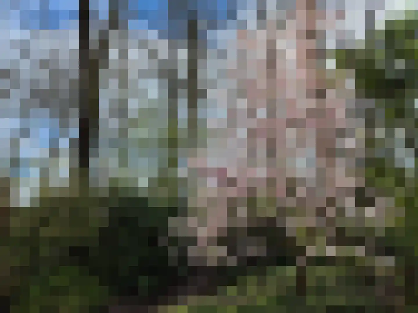De Peppelaar 16 Delden thumbnail 29