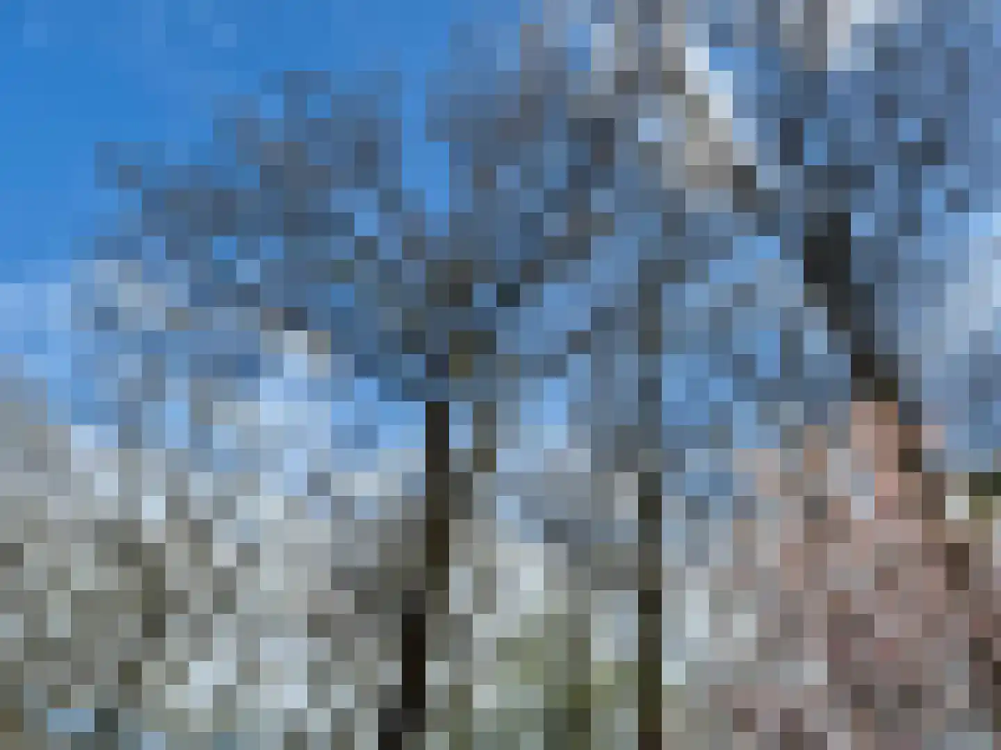De Peppelaar 16 Delden thumbnail 30