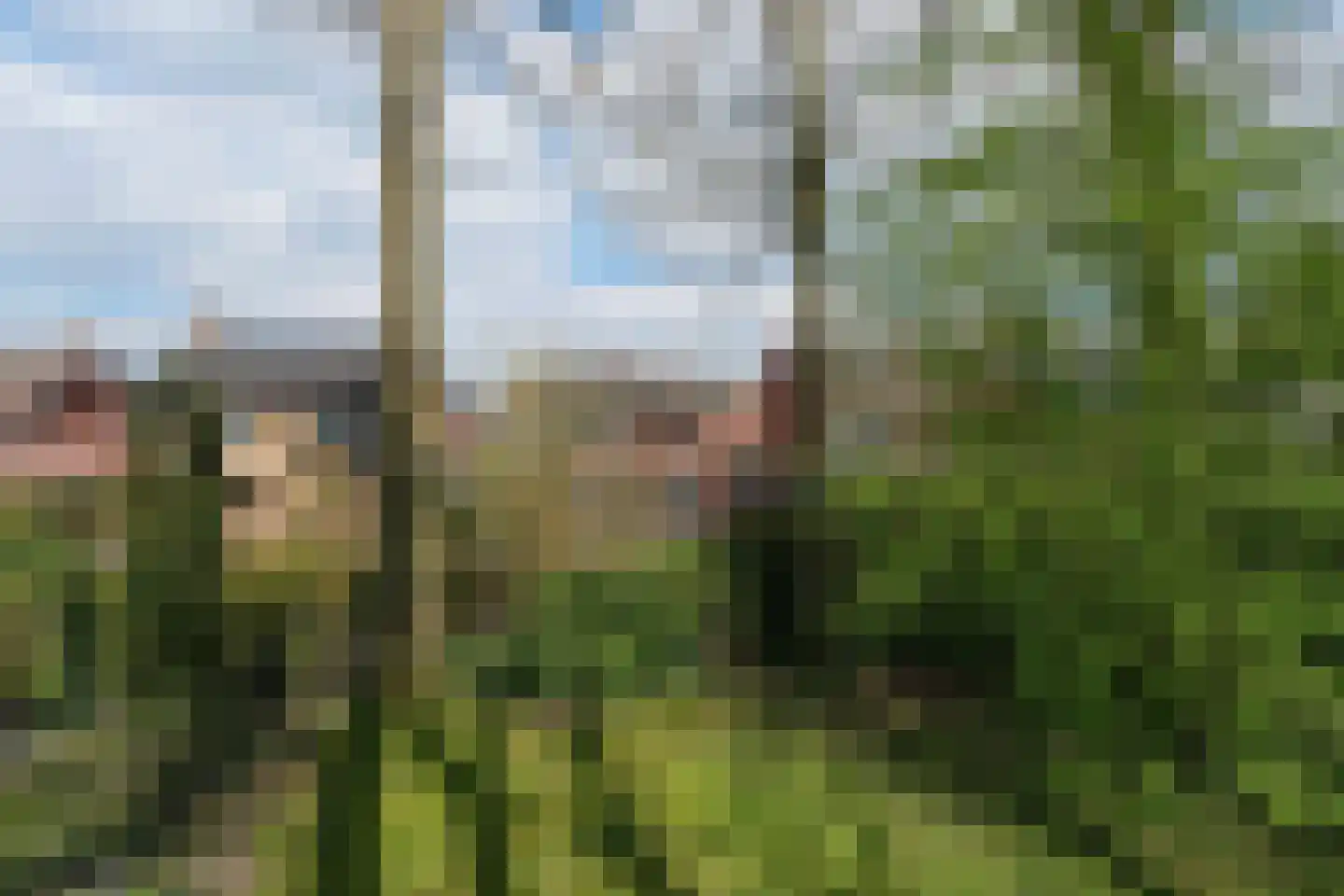 De Peppelaar 16 Delden thumbnail 31