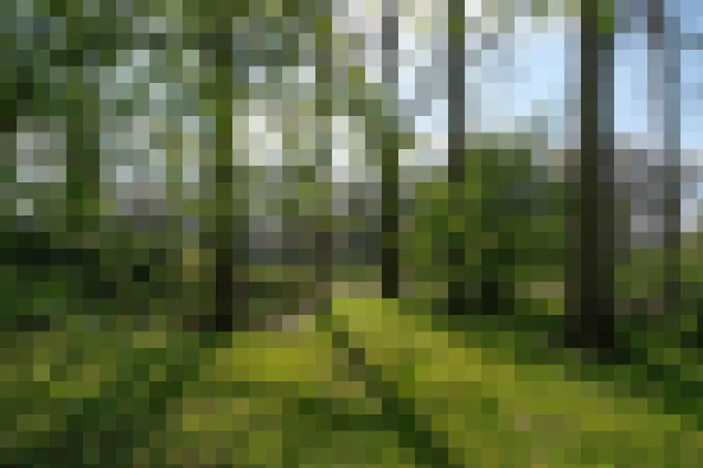 De Peppelaar 16 Delden thumbnail 32