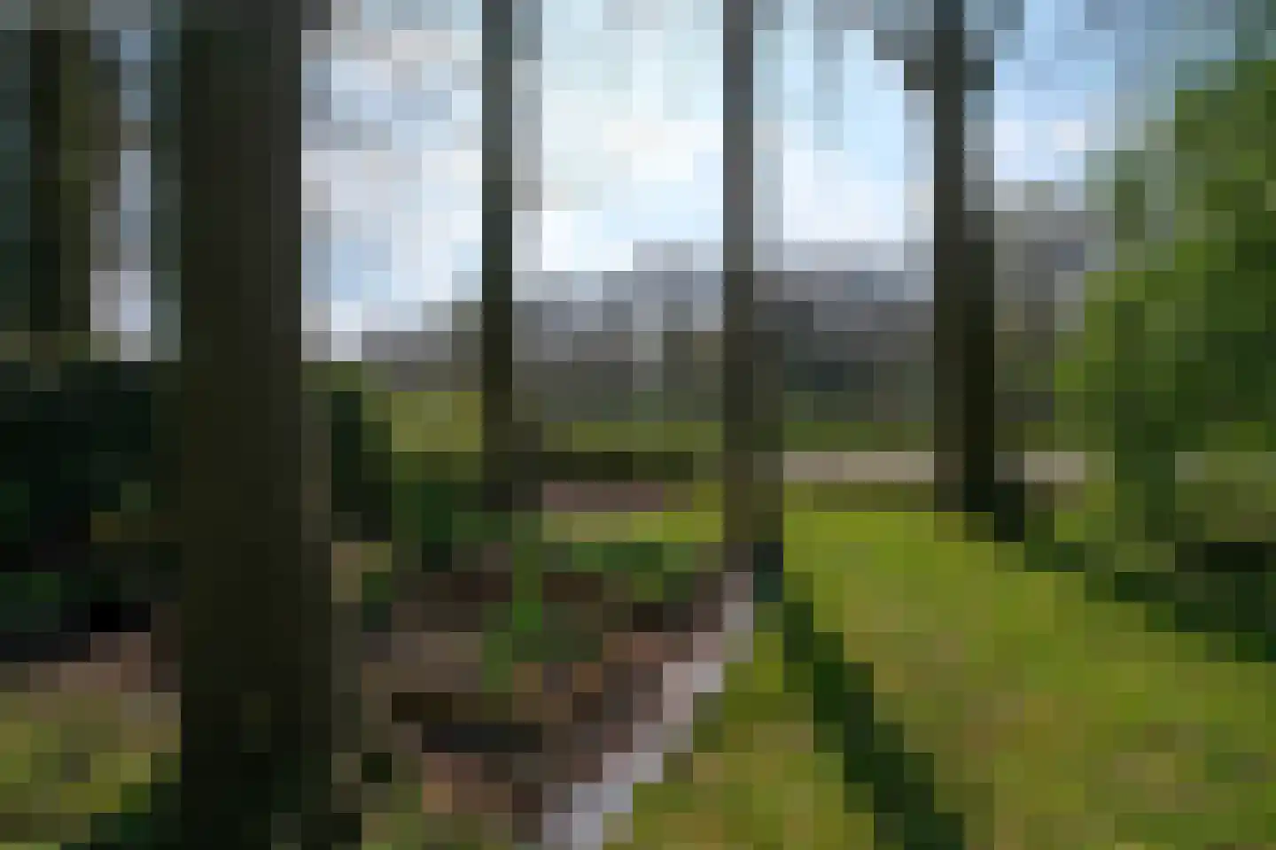 De Peppelaar 16 Delden thumbnail 33