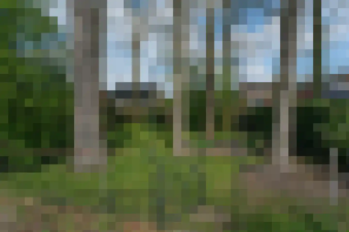 De Peppelaar 16 Delden thumbnail 34