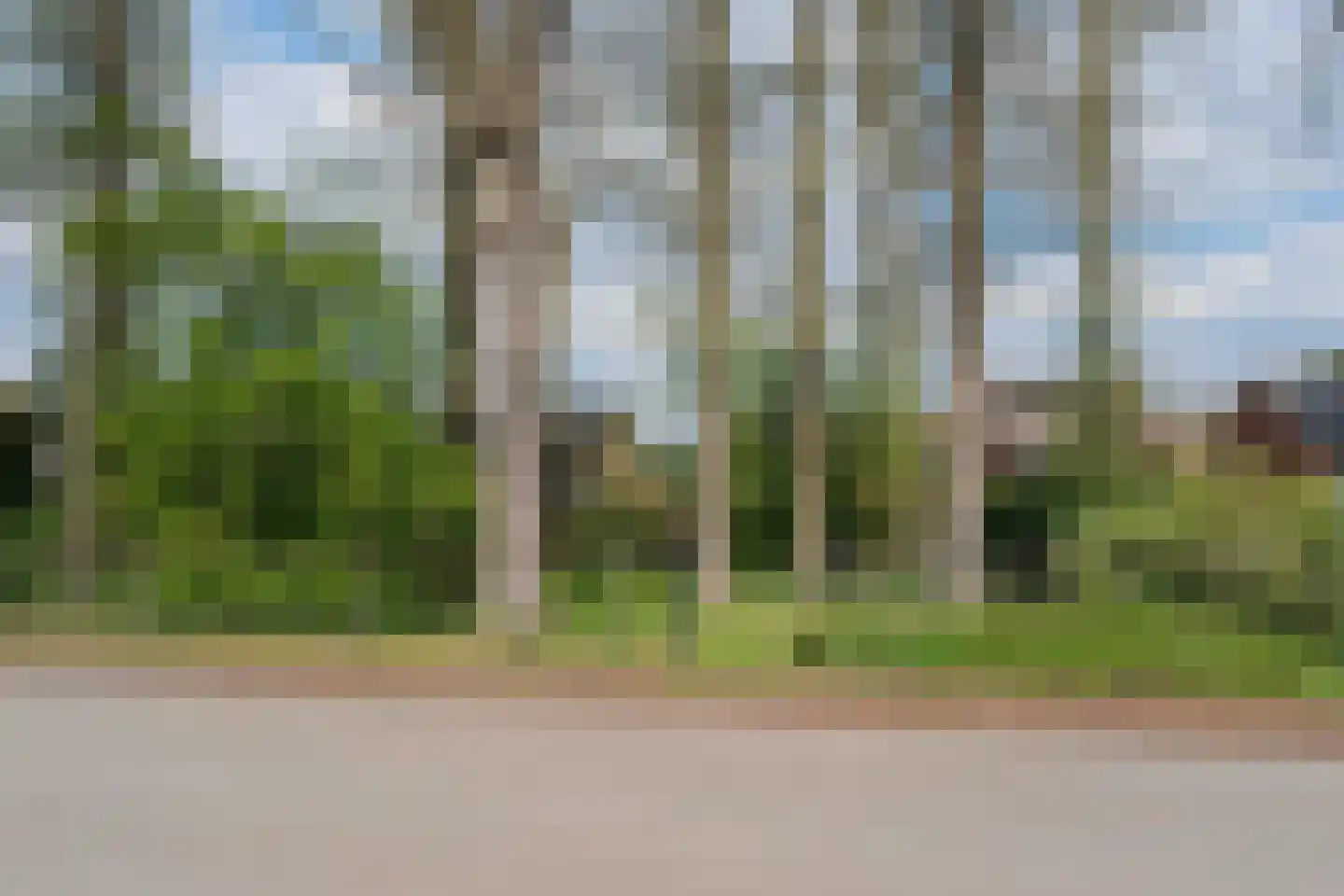 De Peppelaar 16 Delden thumbnail 38
