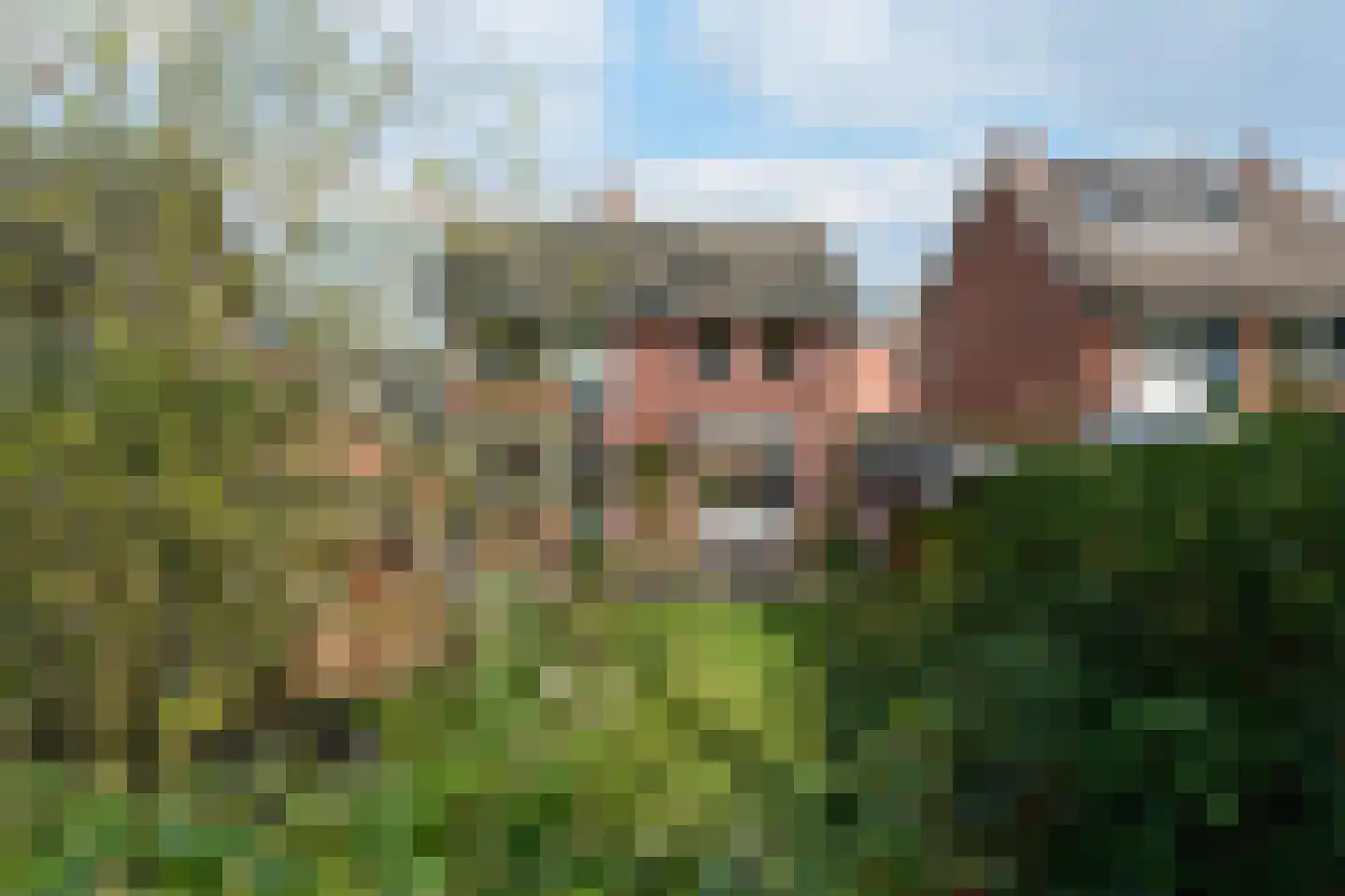 De Peppelaar 16 Delden thumbnail 4