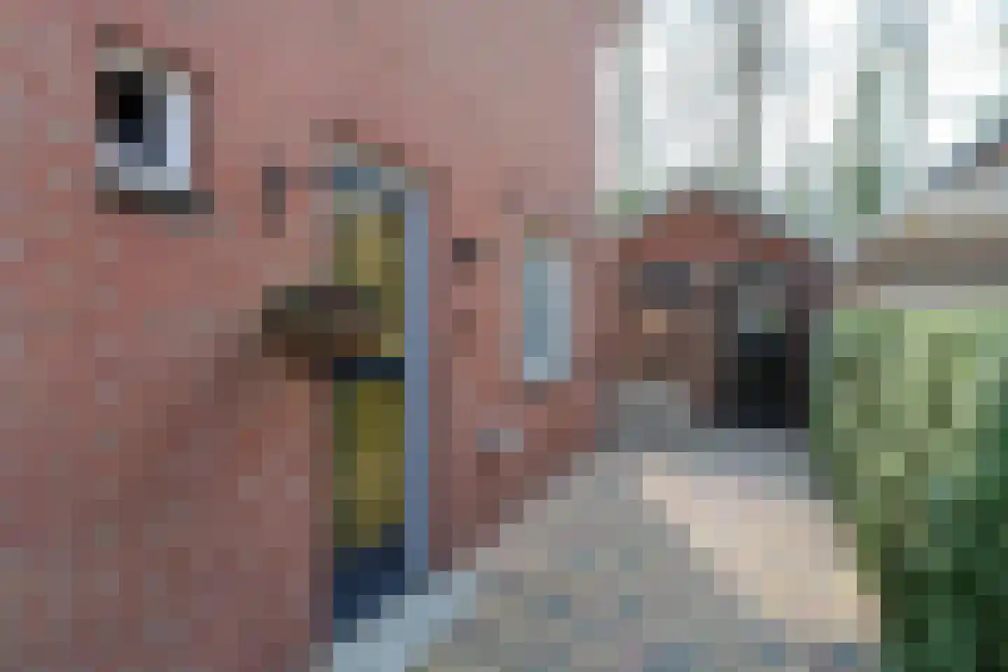 De Peppelaar 16 Delden thumbnail 7