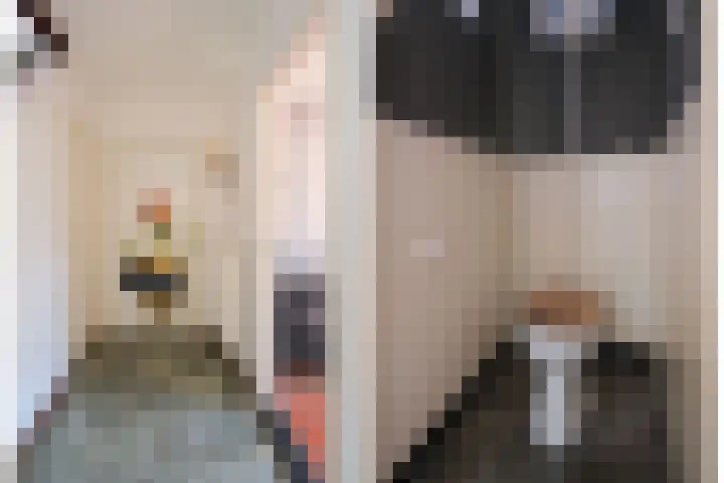 De Peppelaar 16 Delden thumbnail 9
