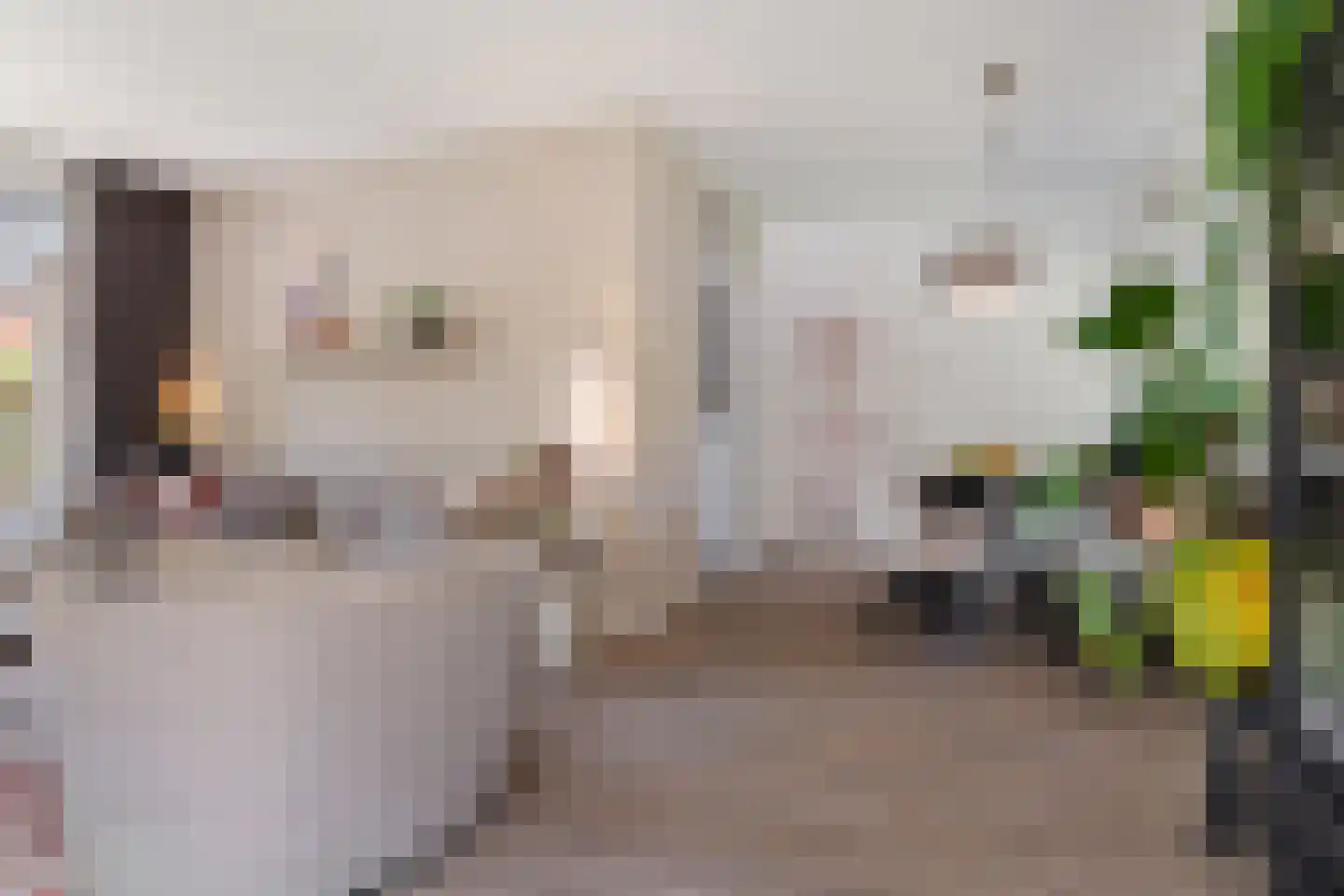 De Peppelaar 44 Delden thumbnail 18
