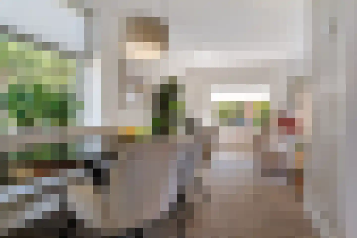 De Peppelaar 44 Delden thumbnail 19