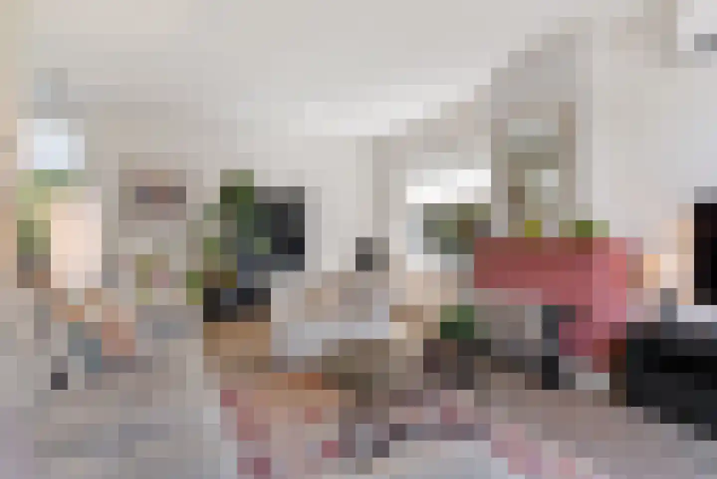 De Peppelaar 44 Delden thumbnail 22
