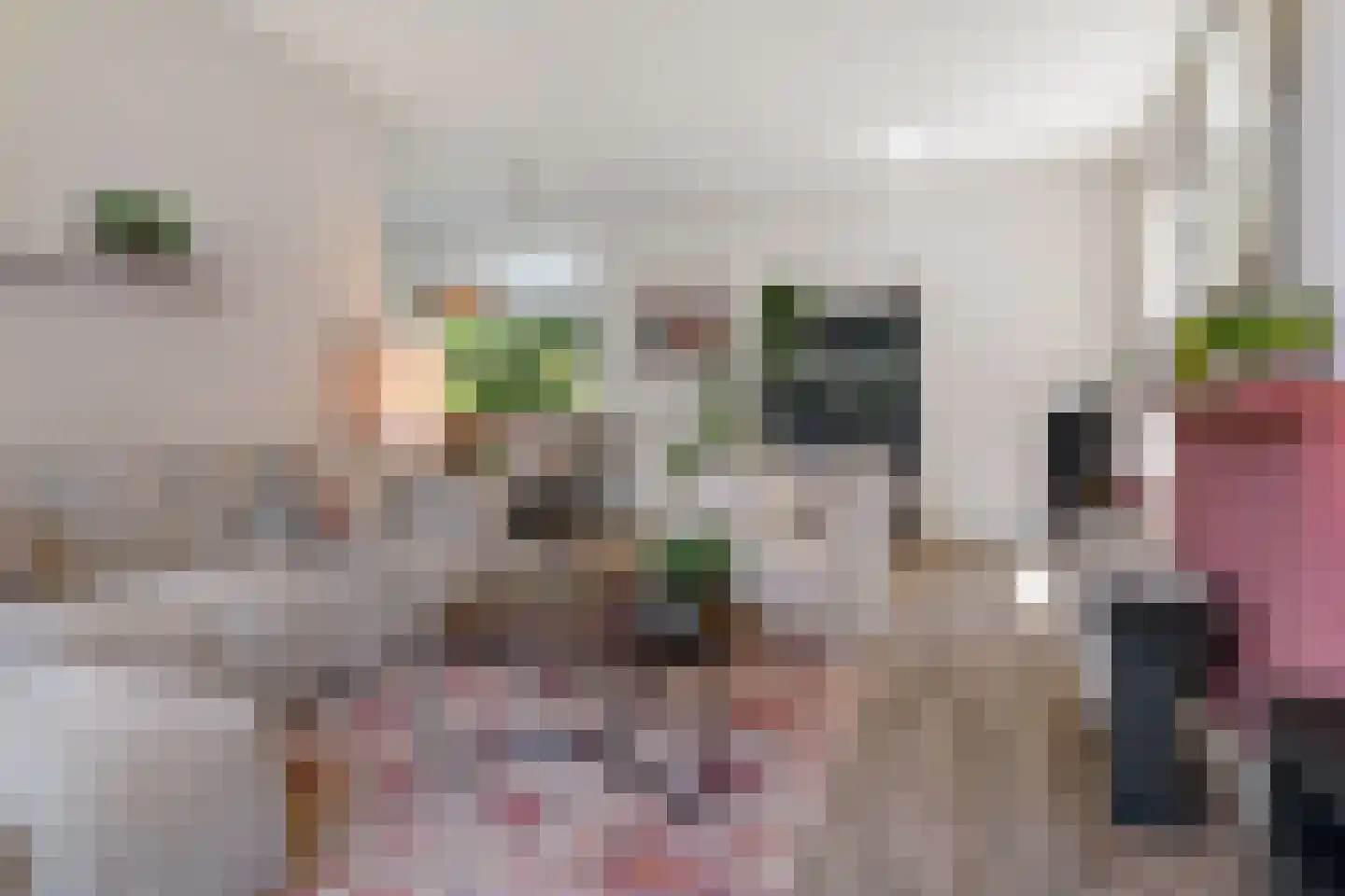De Peppelaar 44 Delden thumbnail 23