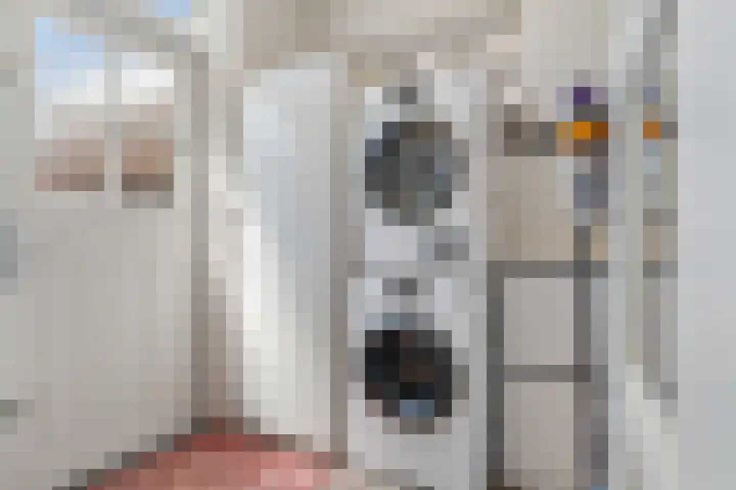 De Peppelaar 44 Delden thumbnail 26