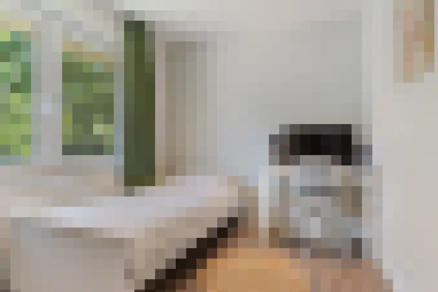 De Peppelaar 44 Delden thumbnail 27