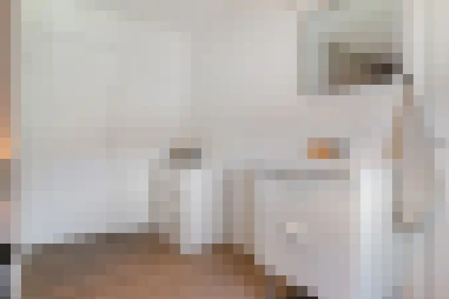 De Peppelaar 44 Delden thumbnail 33