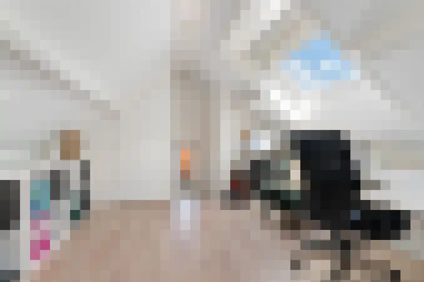 De Peppelaar 44 Delden thumbnail 36