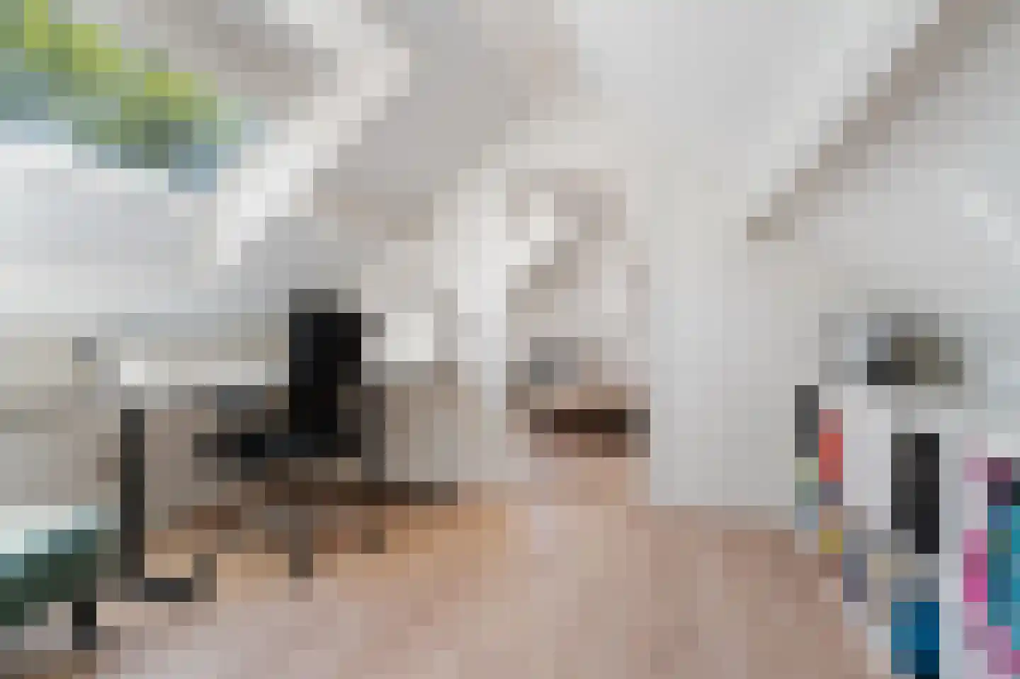 De Peppelaar 44 Delden thumbnail 37