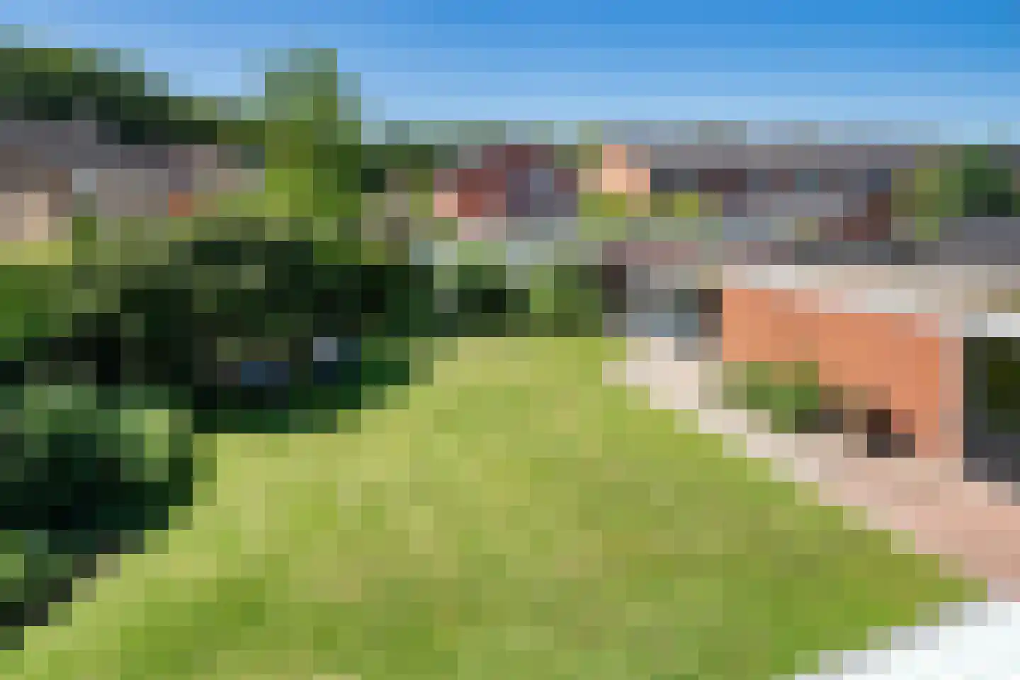 De Peppelaar 44 Delden thumbnail 44