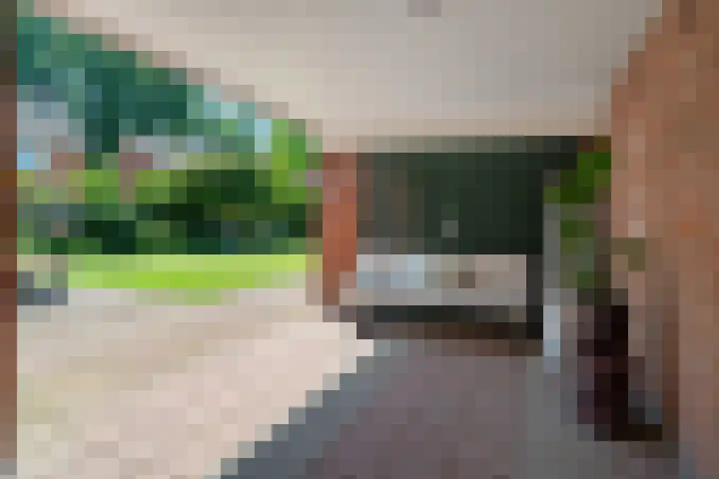De Peppelaar 44 Delden thumbnail 47