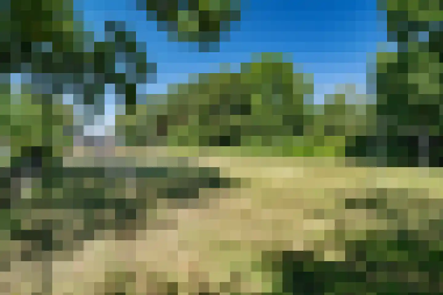 De Peppelaar 44 Delden thumbnail 51