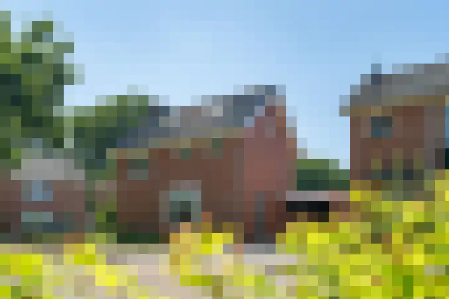 De Peppelaar 44 Delden thumbnail 8