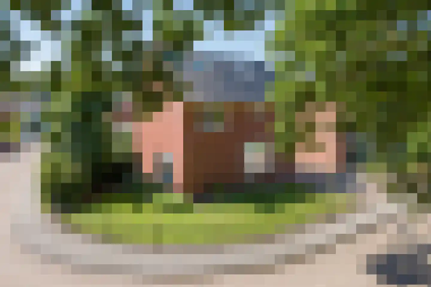 De Peppelaar 44 Delden thumbnail 9