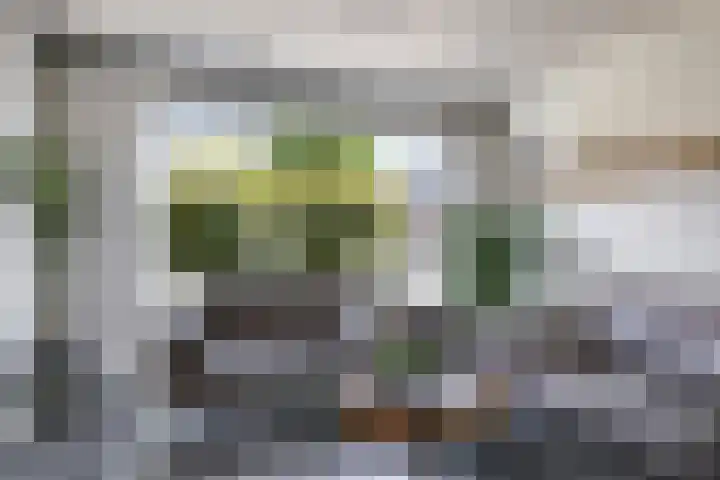 De Peppelpas 9 Zetten thumbnail 12