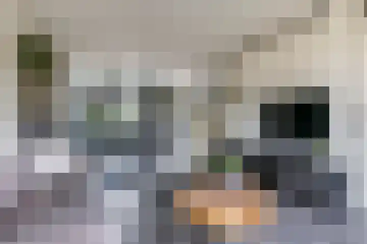 De Peppelpas 9 Zetten thumbnail 13