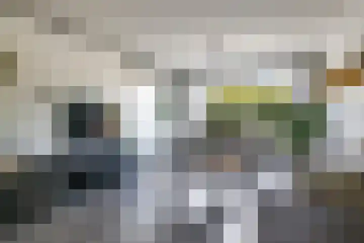 De Peppelpas 9 Zetten thumbnail 14