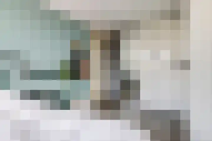 De Peppelpas 9 Zetten thumbnail 32