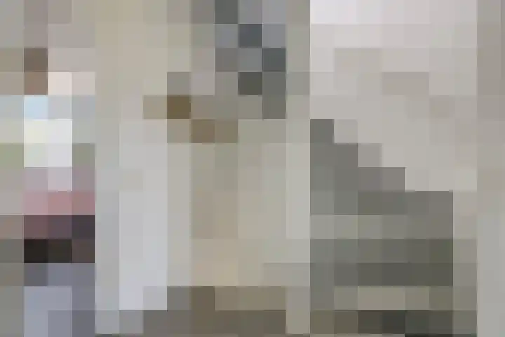De Peppelpas 9 Zetten thumbnail 41