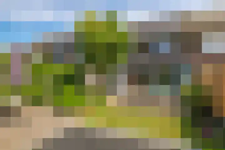 De Peppelpas 9 Zetten thumbnail 49