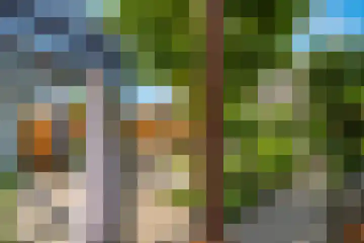 De Peppelpas 9 Zetten thumbnail 57