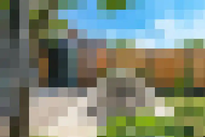 De Peppelpas 9 Zetten thumbnail 58