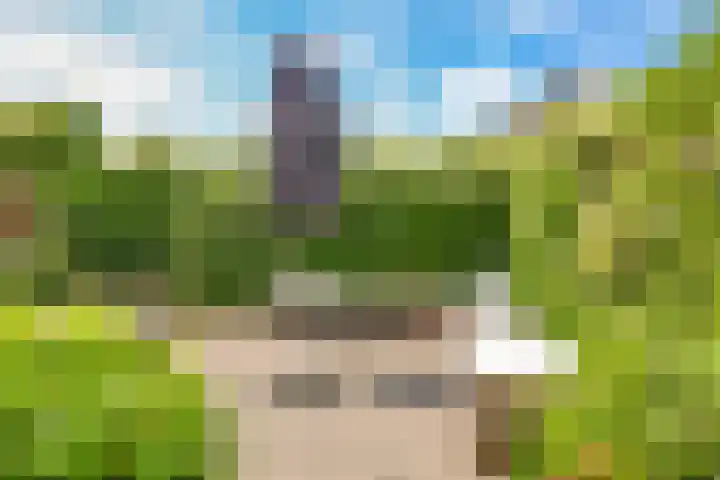 De Peppelpas 9 Zetten thumbnail 62