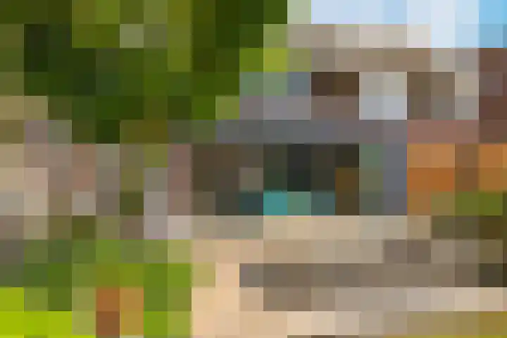 De Peppelpas 9 Zetten thumbnail 65