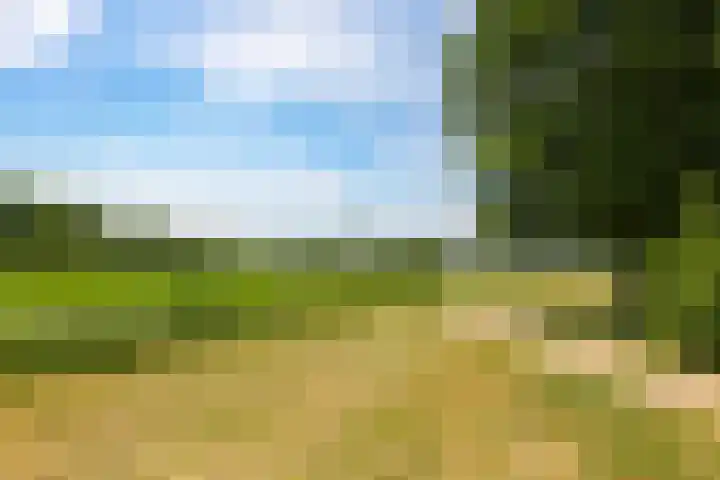 De Peppelpas 9 Zetten thumbnail 75