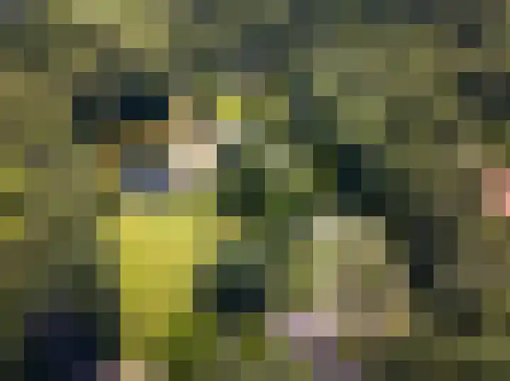 De Peppelpas 9 Zetten thumbnail 82
