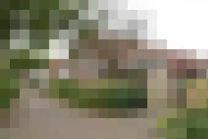 De Peppels 15 Bussum thumbnail 24
