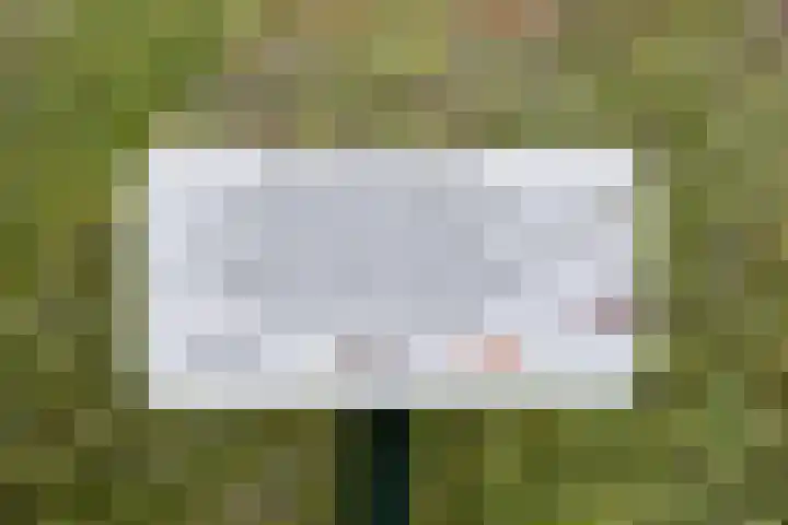 De Peppels 15 Bussum thumbnail 26