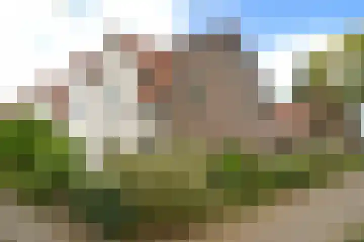 De Peppels 15 Bussum thumbnail 28