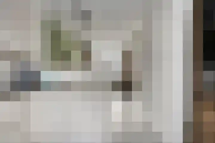 De Peppels 4 Wanroij thumbnail 18